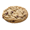 Chocolate Chip